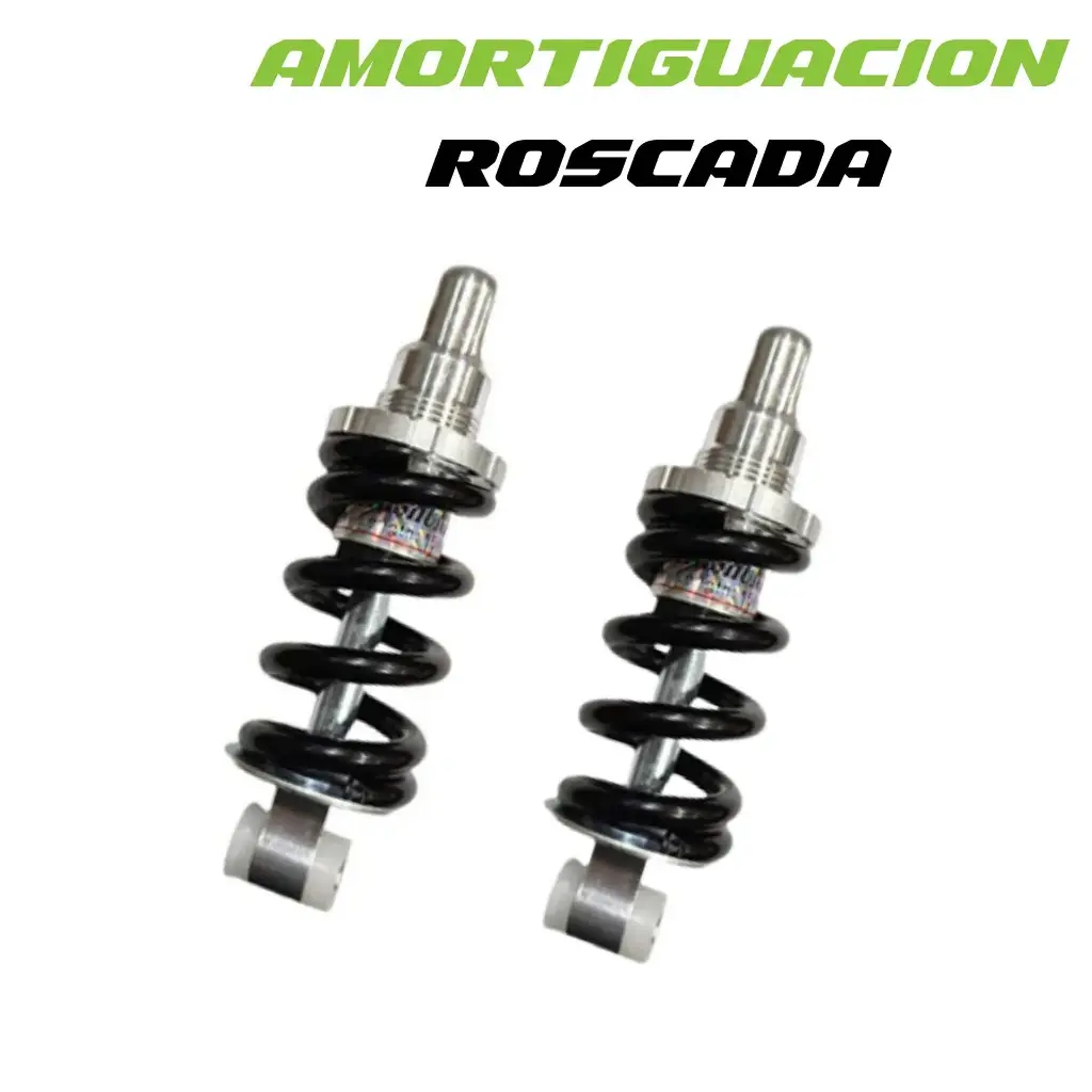 2 Amortiguador suspension roscada PLATA