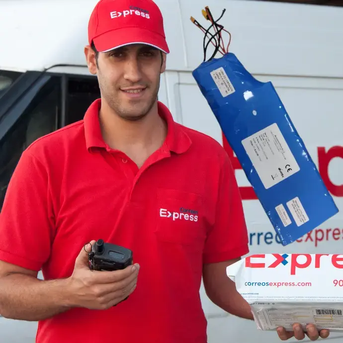 Recogida y entrega y diagnostico de 1 pieza  electronica